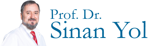 Prof. Dr. Sinan Yol